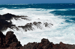 Biển, cát, đá - Khang Ocean 5