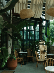 Cây kiểng, trang trí-şule