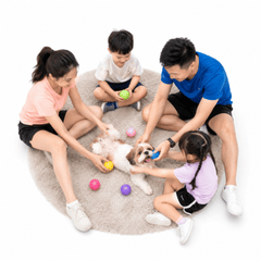 Gia đình, vui vẻ 212