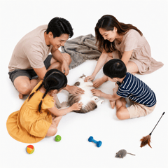 Gia đình, vui vẻ 213