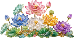 Hoa sen, ngọc lưu ly 7