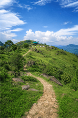 Cảnh đẹp, đồi núi 5