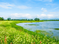 Cảnh đẹp, đồng bằng 1