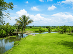 Cảnh đẹp, đồng bằng 2