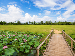 Cảnh đẹp, đồng bằng 5