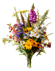 Bó hoa, flower