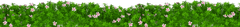 Hoa, vườn hoa 10