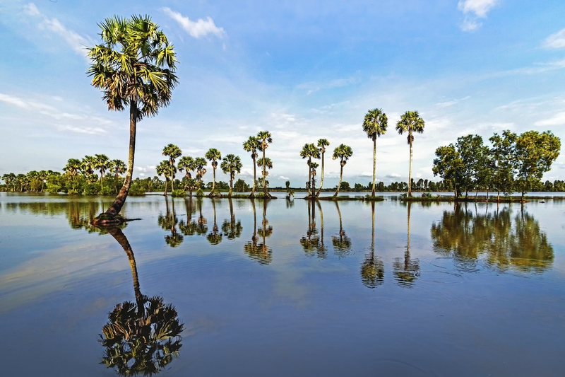 An Giang, Châu Đốc, dừa nước, thốt nốt, bầu trời, Việt Nam (1)