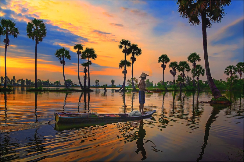 An Giang, Châu Đốc, dừa nước, thốt nốt, bầu trời, Việt Nam (2)