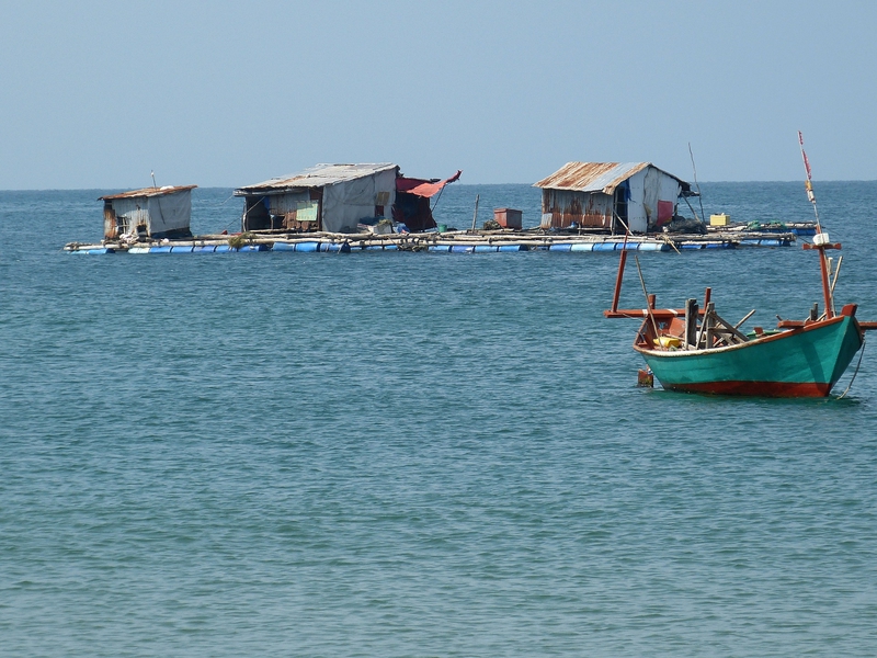 Bè, nhà bè, biển, sông, miền tây, đánh cá, Việt Nam, Viet Nam - falco