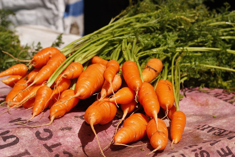 Cà rốt, rau củ, carrot - ahik