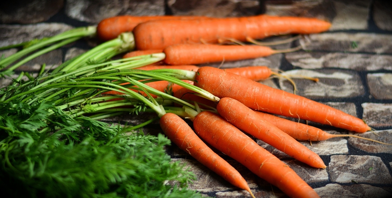 Cà rốt, rau củ, carrot - congerdesign