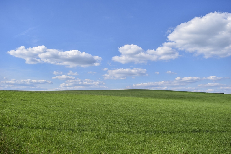 Cỏ, bầu trời, sky, grass, nền, backround - 652234