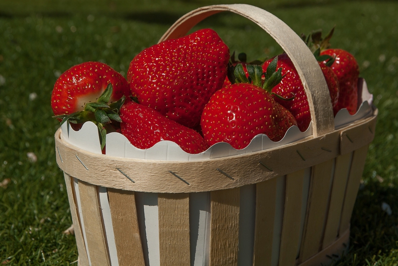 Dâu tây, trái dâu, quả dâu, strawberry -  jackmac34