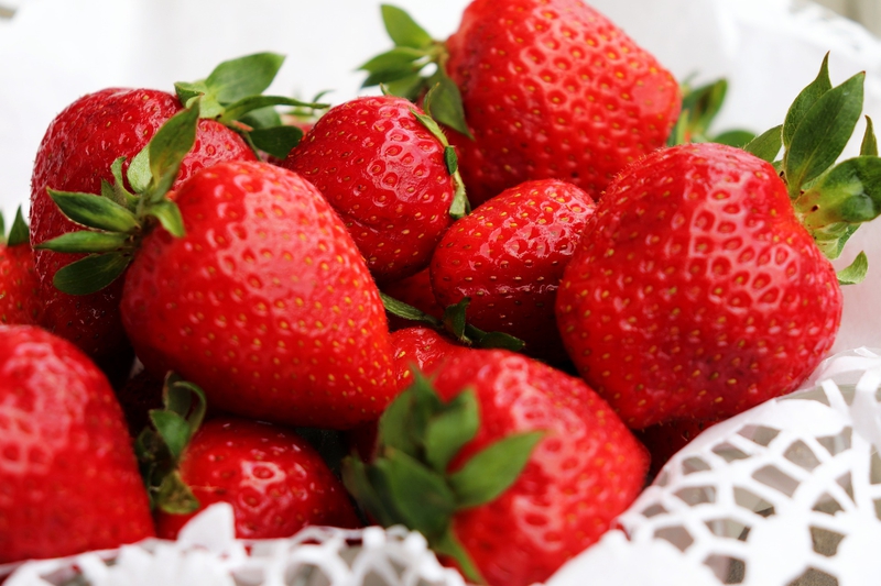Dâu tây, trái dâu, quả dâu, strawberry - Van3ssa_ (1)