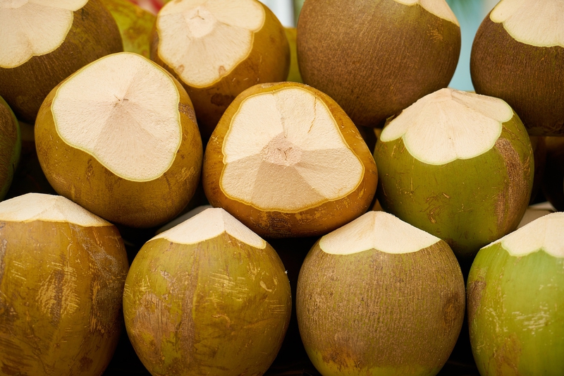 Dừa, dừa tươi, coconut - Engin_Akyurt