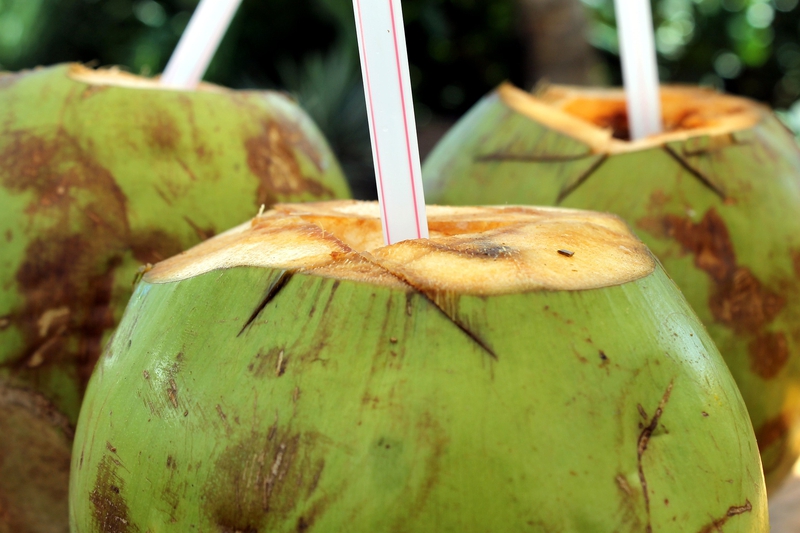 Dừa, dừa tươi, coconut, trái dừa, trái cây - Gadini