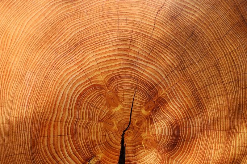 Gỗ, wood, nền, background - Couleur