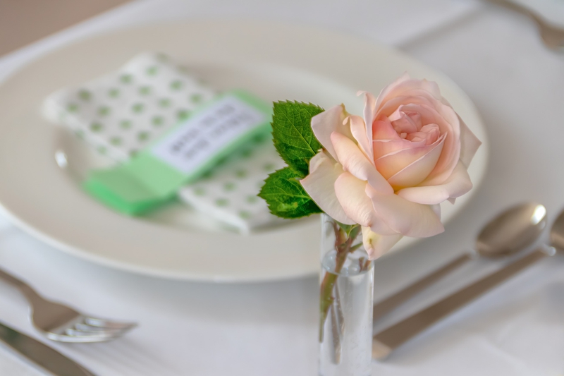 Hoa hồng, rose, hoa, flower - analogicus