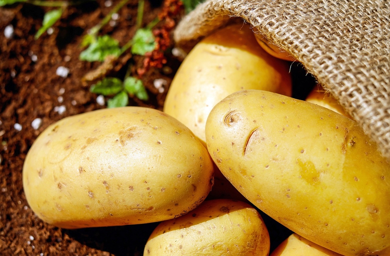 Khoai, khoai tây, rau củ, potato - Couleur (1)