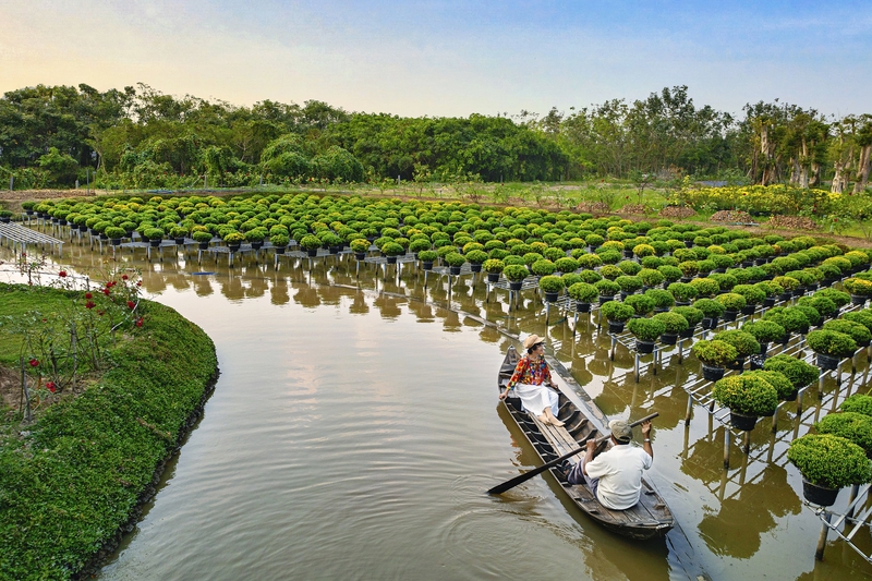 Làng hoa, làng hoa Sa Đéc, Đồng Tháp, Sa Đéc, Việt Nam - vietnguyenbui