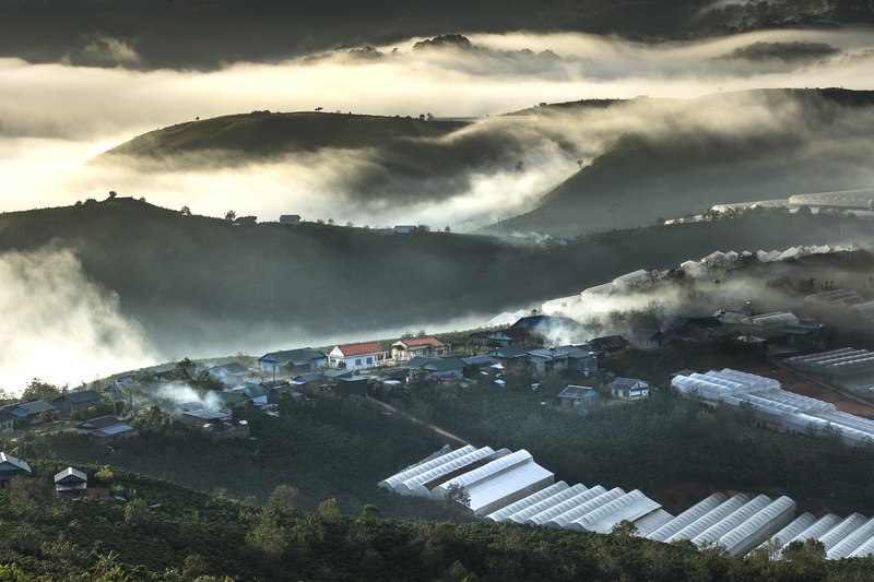 Đà Lạt, Núi, mây, săn mây, nhà kính, Việt Nam - Quangpraha
