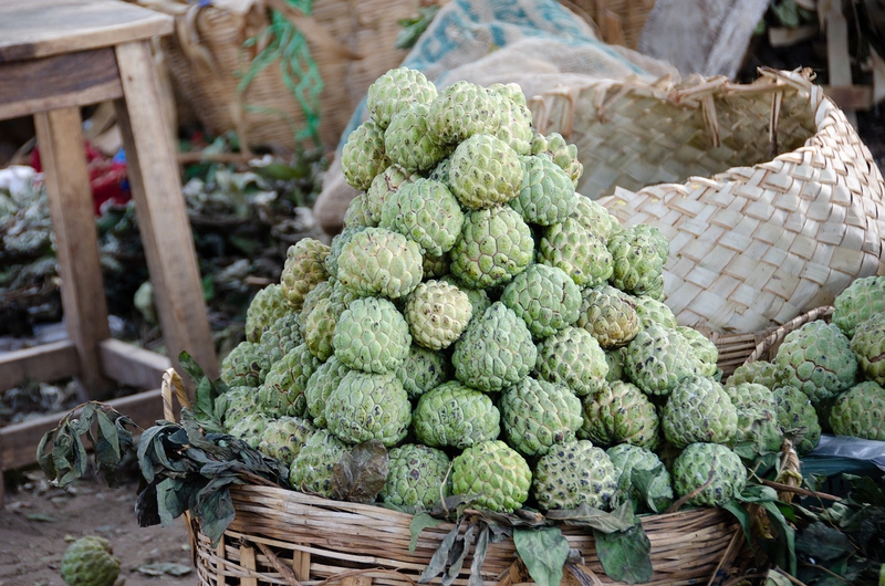 Mãng cầu ta, quả na, trái cây, custard apple - MOHANN