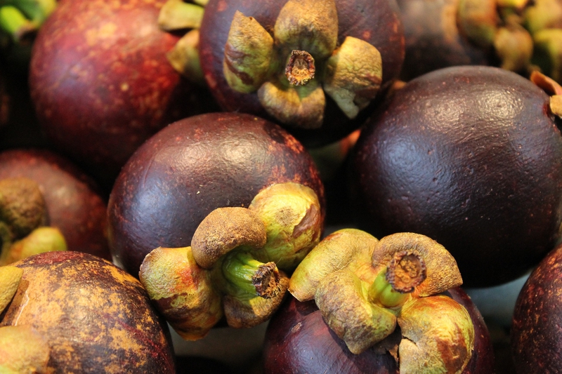 Măng cụt, trái cây, fruit, mangosteen - GunKristina