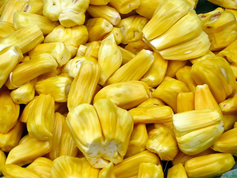 Mít, quả mít, trái cây, Jackfruit - DEZALB