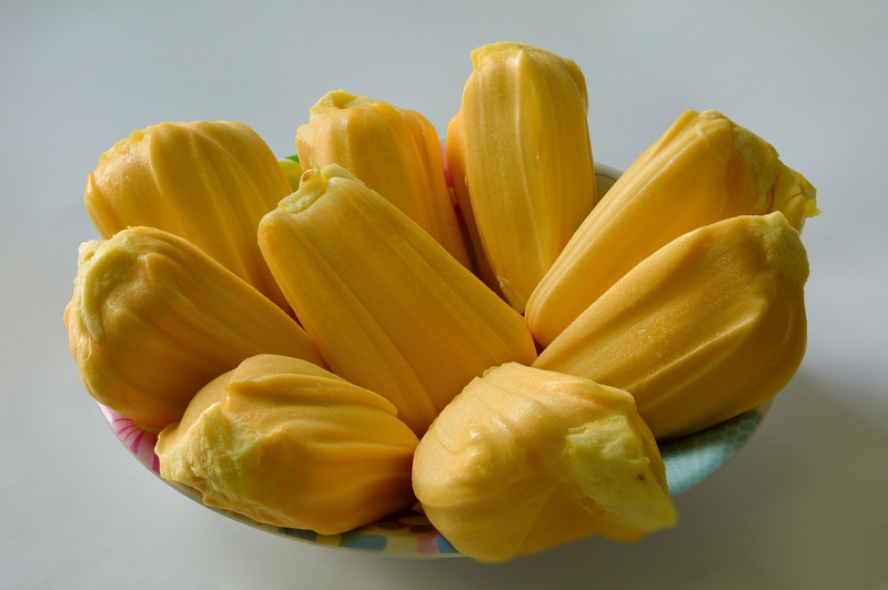 Mít, quả mít, trái cây, Jackfruit - kieutruongphoto