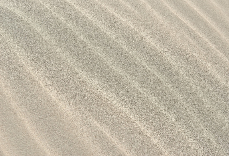 Nền, background, cat, sand, ánh sáng - nikolabelopitov