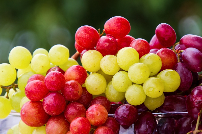 Nho, trái nho, chùm nho, trái cây, fruit - NickyPe