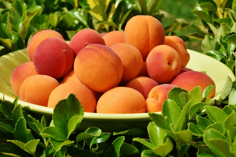 Đào, quả đào, trái đào, trái cây, peach, fruit - RitaE