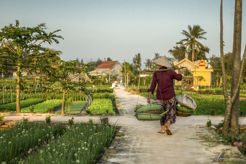 Quê, nông thông, hàng rong, Việt Nam - Babel_hospitality