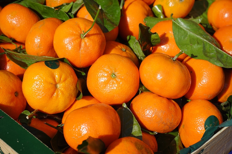 Quýt, trái quýt, trái cây, tangerine - Hans
