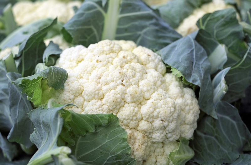 Súp lơ, bông cải, bông cải trắng, rau củ, cauliflower - Couleur
