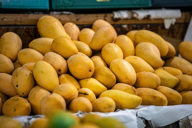 Xoài, trái xoài, quả xoài, trái cây, xoài chín, mango - SwidaAlba