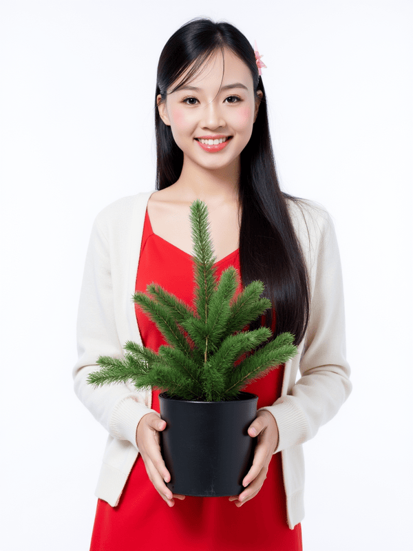 Con gái, girl, học sinh, sinh viên, student, giáng sinh, christmas, Việt Nam 6