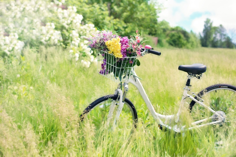 Hoa, cỏ, xe đạp, flower, grass, bicycle