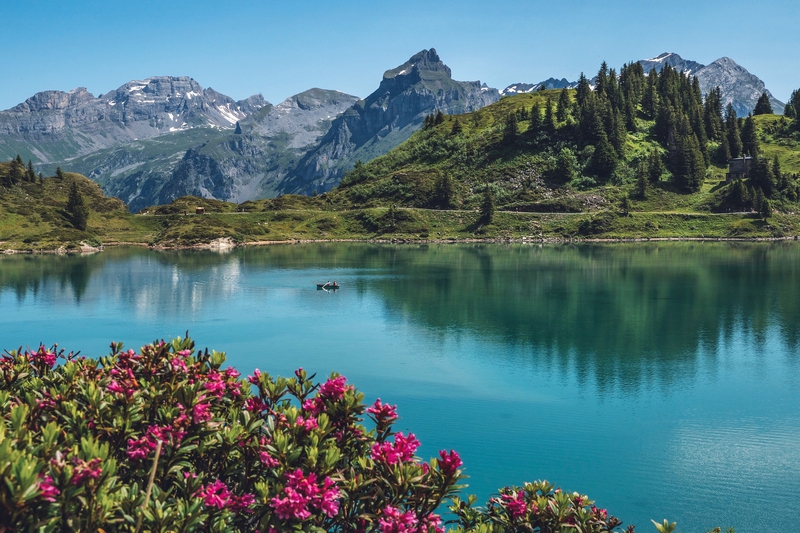 Hồ, rừng, cây xanh, núi, moutain, hill, lake - truebsee