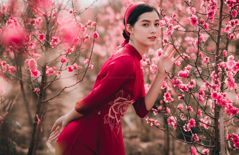 Cô gái, con gái, nữ, áo dài, Tết, xuân, Việt Nam - LuisSteven 1