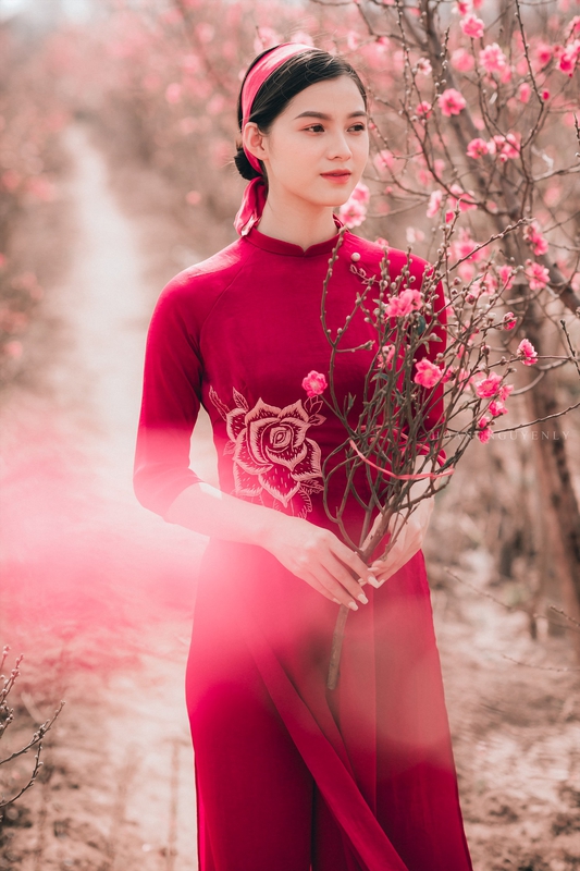 Cô gái, con gái, nữ, áo dài, Tết, xuân, Việt Nam - LuisSteven 2