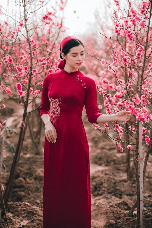 Cô gái, con gái, nữ, áo dài, Tết, xuân, Việt Nam - LuisSteven 3
