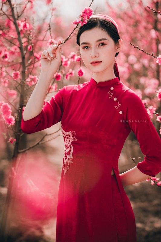 Cô gái, con gái, nữ, áo dài, Tết, xuân, Việt Nam - LuisSteven 5