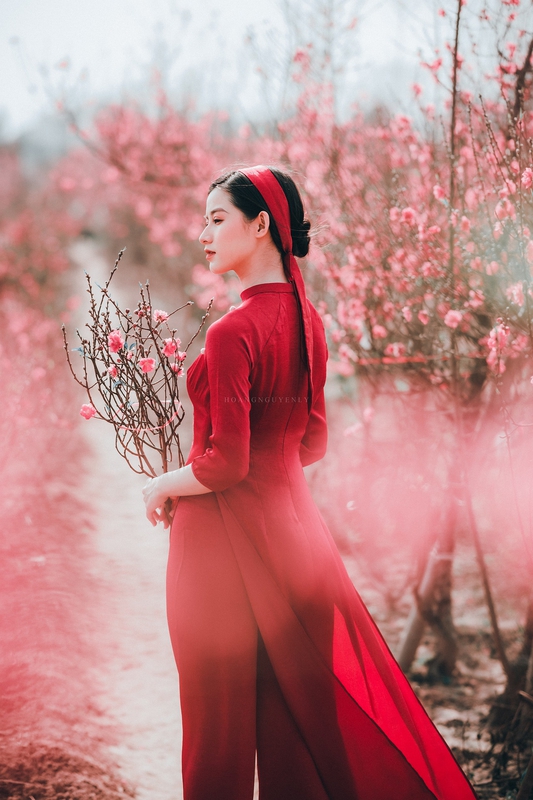 Cô gái, con gái, nữ, áo dài, Tết, xuân, Việt Nam - LuisSteven