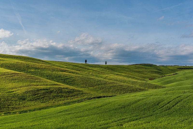 Đồng cỏ, cỏ, thảo nguyên, cao nguyên, hill, mountain - DUCTINH91
