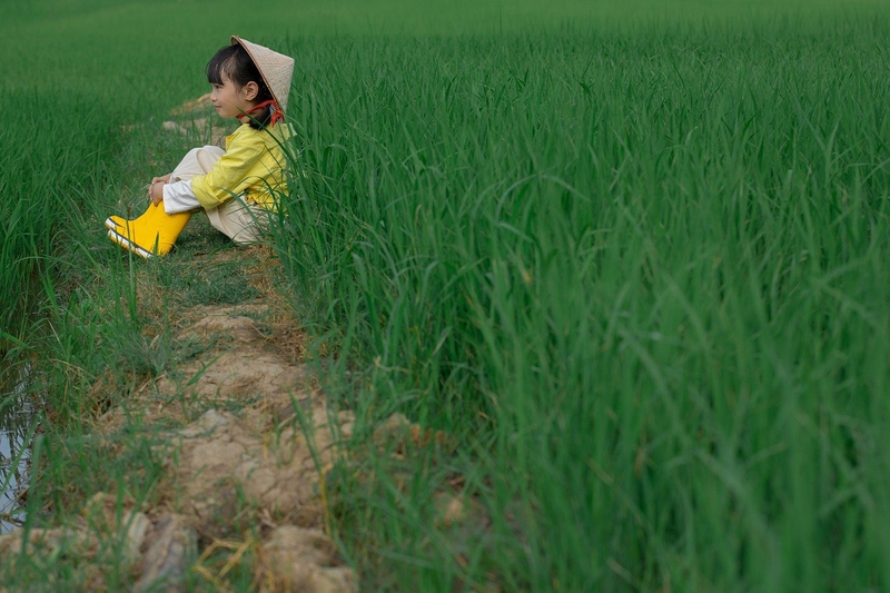 Em bé, trẻ em, con gái, girl, đồng ruộng, nông dân -  Jupilu 12