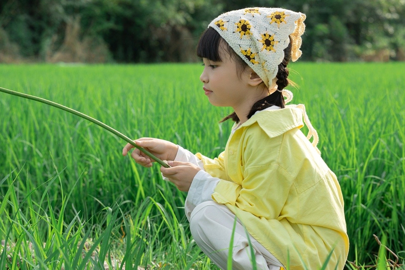 Em bé, trẻ em, con gái, girl, đồng ruộng, nông dân -  Jupilu 14