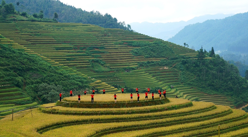 Núi, mountain, ruộng bậc thang, ruộng, Việt Nam, con người