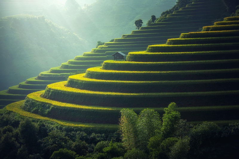 Núi, mountain, ruộng bậc thang, ruộng - sasint